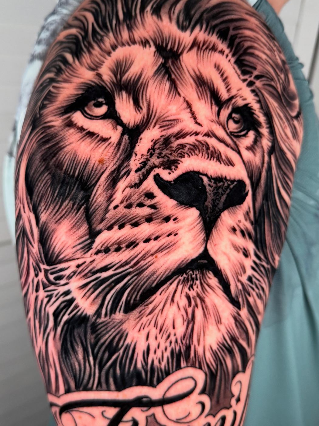Realistic lion tattoo